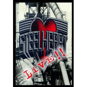 STEELHEART Live Osaka 10-05-1990 DVD