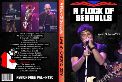 A FlOCK OF SEAGULLS Live in Ontario Ft. The Spoons 2019 DVD